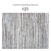 Capa do artigo #23 - CD