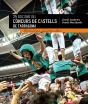 25 Edicions Concurs De Castells De Tarragona - Preview