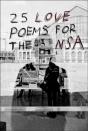 25 Love Poems For The Nsa - Preview
