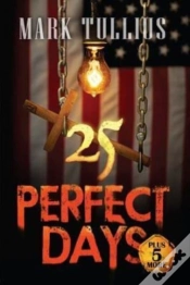 Capa do artigo 25 Perfect Days