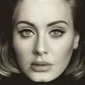 Capa do artigo 25 - Vinil