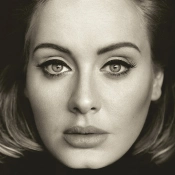 Capa do artigo 25 - Vinil