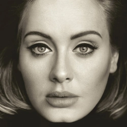 Capa do artigo 25 - Vinil