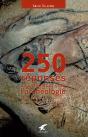 250 Réponses Aux Questions D'Un Archéologue Curieux - Preview