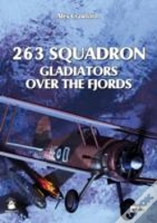 Capa do artigo 263 Squadron