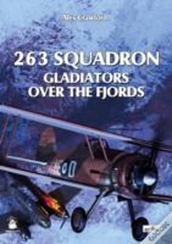 Capa do artigo 263 Squadron