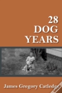 Capa do artigo 28 Dog Years