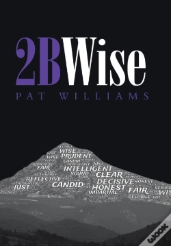 Capa do artigo 2bwise