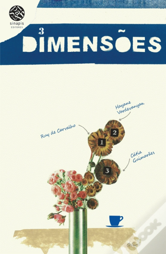 Capa do livro 3 Dimensões de Ruy de Carvalho, Hayane Vardevanyan e Cátia Guimarães