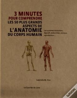 Capa do artigo 3 Minutes Pour Comprendre L'Anatomie Du Corps Humain