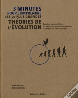 Capa do artigo 3 Minutes Pour Comprendre Les 50 Plus Grandes Étapes De L'Évolution