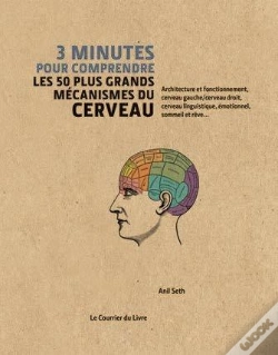 Capa do artigo 3 Minutes Pour Comprendre Les 50 Plus Grands Mecanismes Du Cerveau