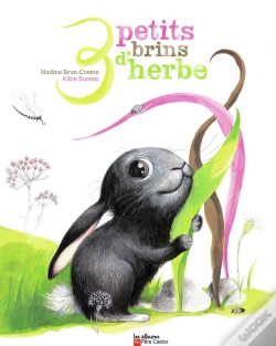 Capa do artigo 3 Petits Brins D'Herbe