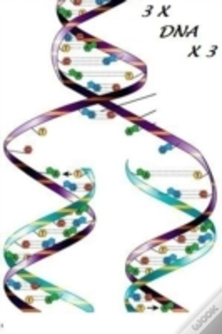 Capa do artigo 3 X Dna X 3