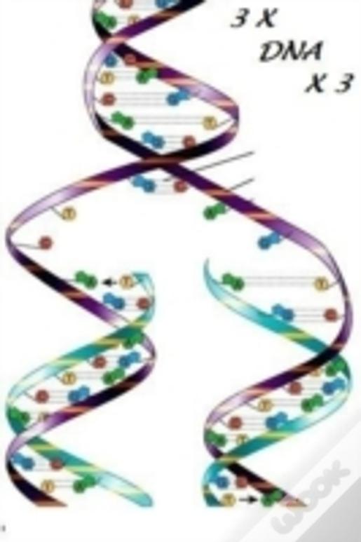 3 X Dna X 3