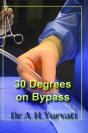 30 Degrees On Bypass - Preview