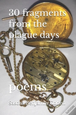 Capa do artigo 30 Fragments From The Plague Days