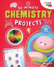 Capa do artigo 30-Minute Chemistry Projects