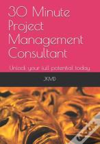 30 Minute Project Management Consultant