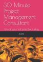 30 Minute Project Management Consultant - Preview