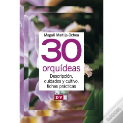 Capa do artigo 30 Orquídeas