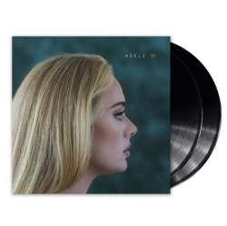 Capa do artigo 30 - Vinil