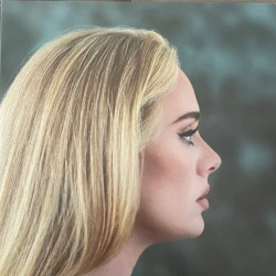 Capa do artigo 30 - Vinil