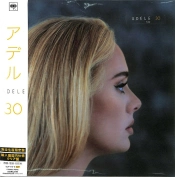Capa do artigo 30 - Vinil