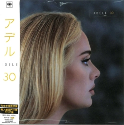 Capa do artigo 30 - Vinil