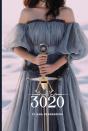 3020 - Preview