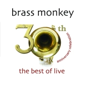 Capa do artigo 30th Anniversary Celebration - CD