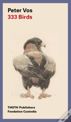 Capa do artigo 333 Birds