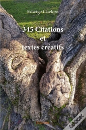 Capa do artigo 345 Citations Et Textes Créatifs