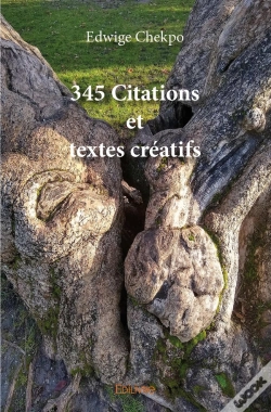 Capa do artigo 345 Citations Et Textes Créatifs