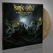 Capa do artigo 35 Years of Evil Existence - Vinil