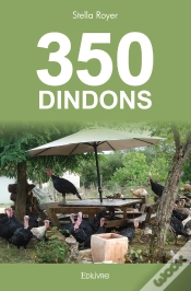 Capa do artigo 350 Dindons