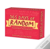 Capa do artigo 365 Days Of Random 2027 Box