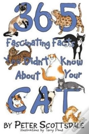 Capa do artigo 365 Fascinating Facts You Didn