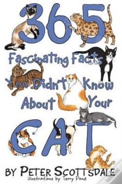 Capa do artigo 365 Fascinating Facts You Didn'T Know About Your Cat