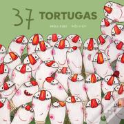 37 Tortugas