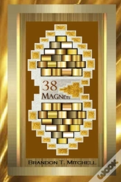 Capa do artigo 38 Magnets