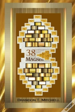 Capa do artigo 38 Magnets