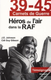39-45 Carnets De Guerre ; Héros De L'Air