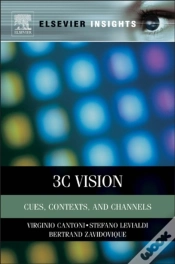 Capa do artigo 3c Vision