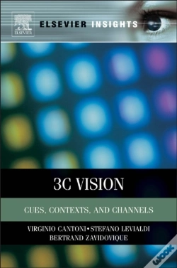 Capa do artigo 3c Vision