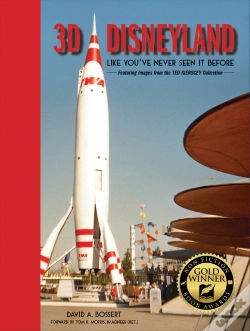 Capa do artigo 3d Disneyland