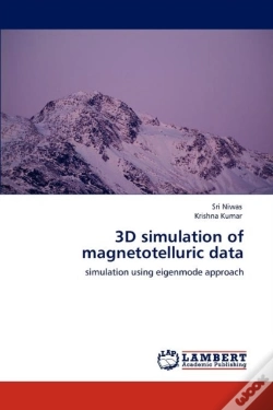 Capa do artigo 3d Simulation Of Magnetotelluric Data