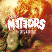 Capa do artigo 40 Days a Rotting - Vinil