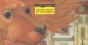 40 Enfants Et Un Chien - Preview
