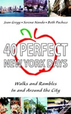 Capa do artigo 40 Perfect New York Days